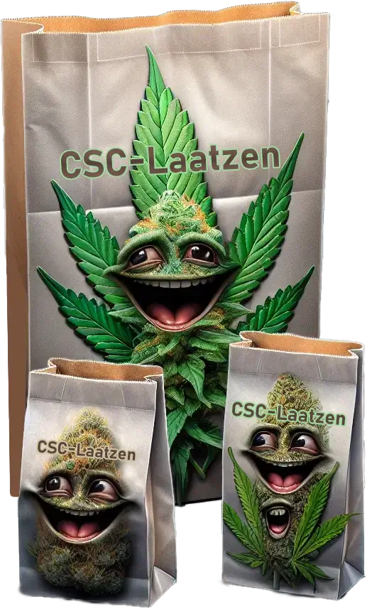 CSC Pack 50